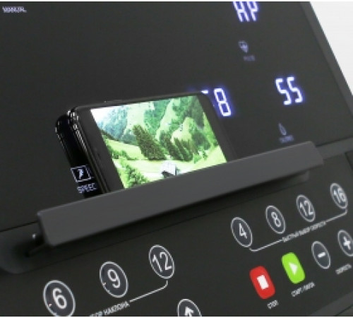 Беговая дорожка BRONZE GYM T910M