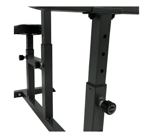 Скамья Скотта DFC Homegym UB008
