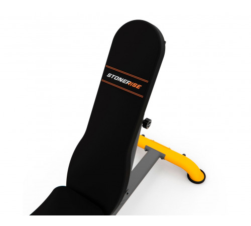 Скамья универсальная STONERISE DS01