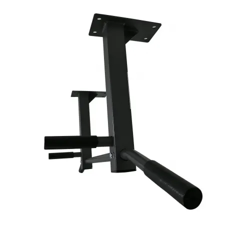 Турник потолочный DFC Homegym G486
